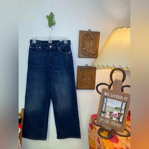 Banana Republic High Rise Wide Leg Dark Wash Sz 2/26 Petite Short Inseam (27x28)